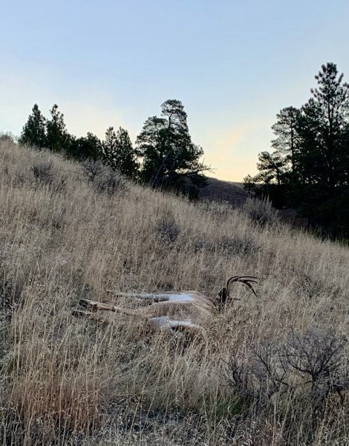 IMG_1326.jpeg