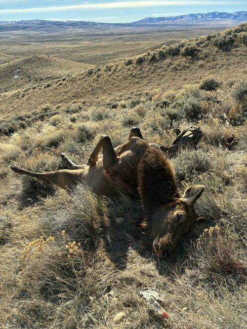 59bb857f-2fa6-4dfc-94ef-a4df48a69b06.jpg 59bb857f-2fa6-4dfc-94ef-a4df48a69b06.jpg