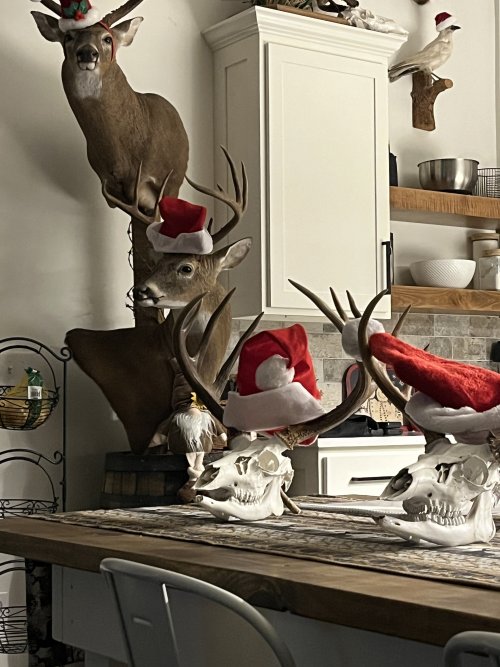 IMG_4805.jpeg IMG_4805.jpeg