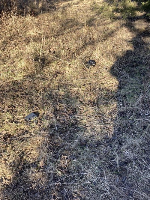 IMG_7367.jpeg IMG_7367.jpeg