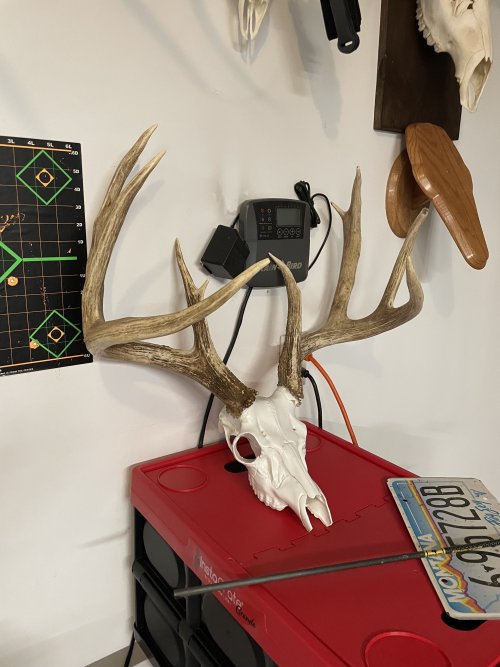 IMG_9235.jpeg IMG_9235.jpeg