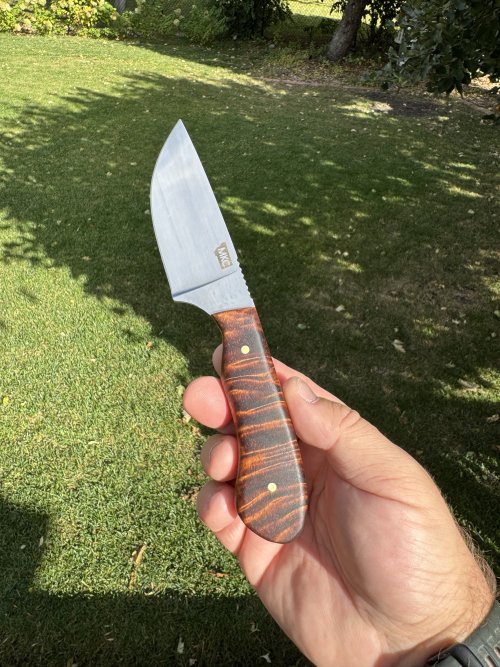 IMG_1682.jpeg IMG_1682.jpeg