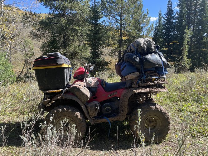 1765826481052.jpeg 1765826481052.jpeg