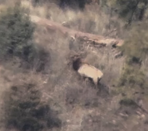 IMG_8809.jpeg IMG_8809.jpeg