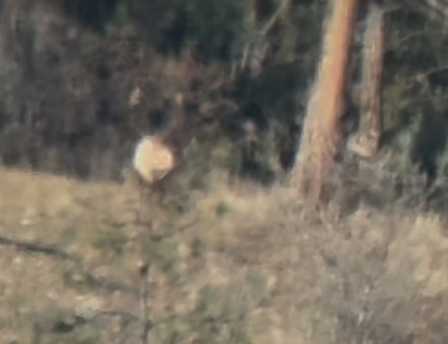 IMG_8810.jpeg IMG_8810.jpeg