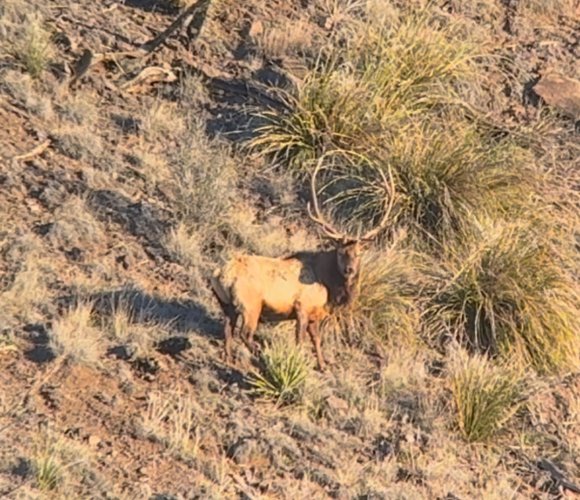 IMG_8811.jpeg IMG_8811.jpeg