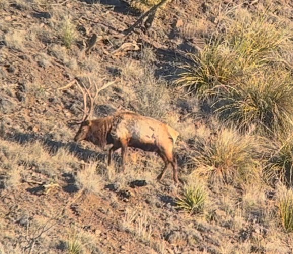 IMG_8812.jpeg IMG_8812.jpeg