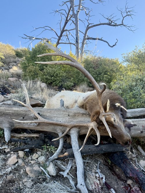 IMG_8711.jpeg IMG_8711.jpeg