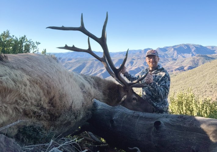 IMG_8727.jpeg IMG_8727.jpeg