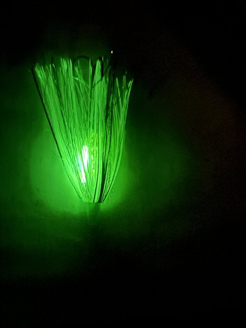 IMG_1202.jpeg IMG_1202.jpeg