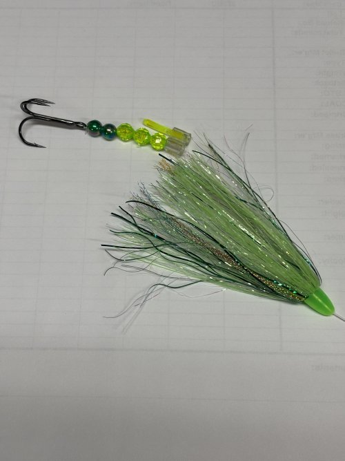 IMG_1203.jpeg IMG_1203.jpeg