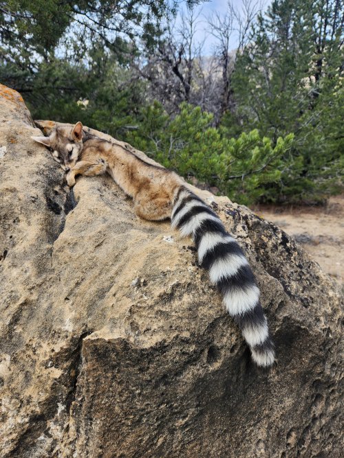 1000022092.jpg 1000022092.jpg