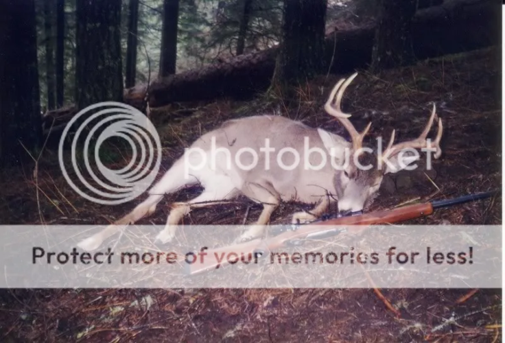 1765917979807.png 1765917979807.png