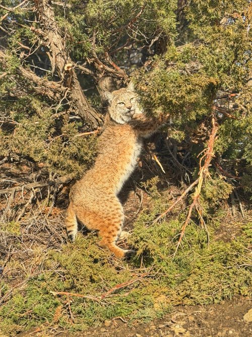 IMG_5981.jpeg IMG_5981.jpeg