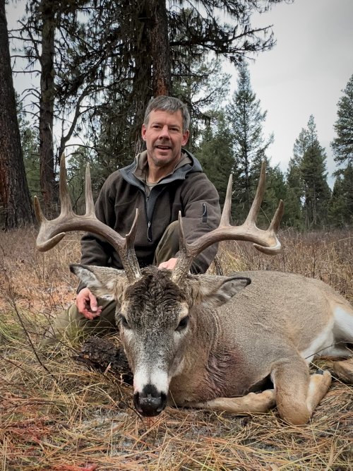 2023 MT deer kurt.jpg 2023 MT deer kurt.jpg