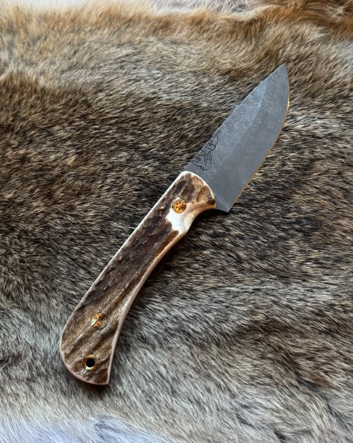 IMG_2992.jpeg IMG_2992.jpeg