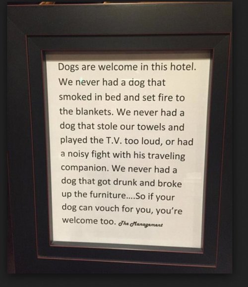 dogsallowed.jpg