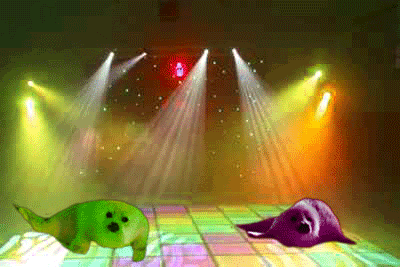 1000021206.gif 1000021206.gif