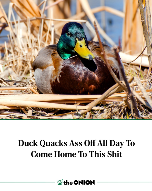 1766001594712.png