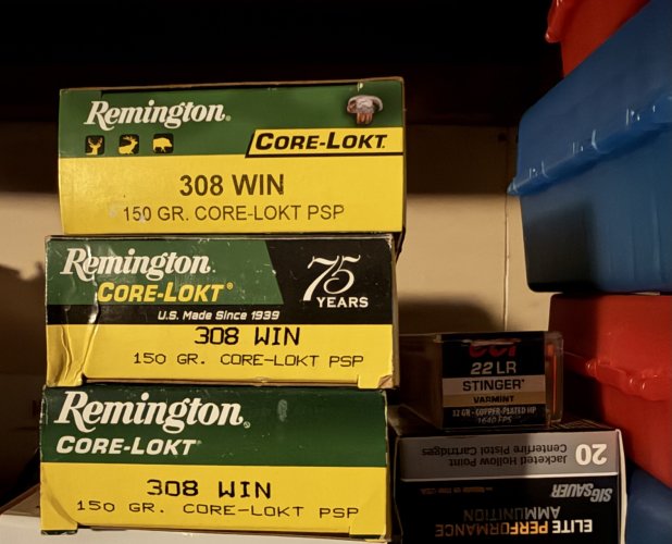 IMG_3900.jpeg