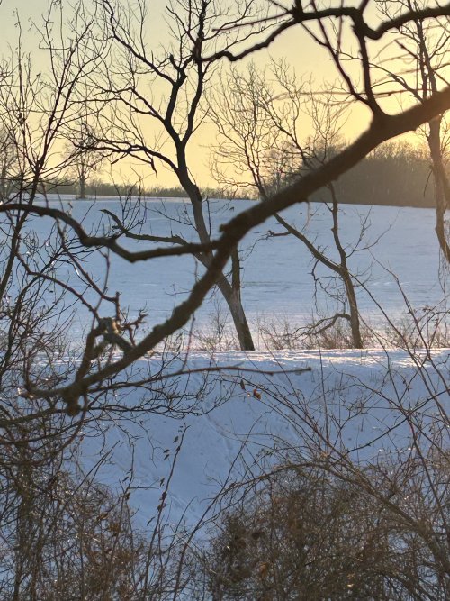 IMG_6737.jpeg