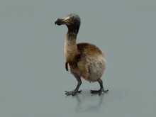 1766078194765.gif