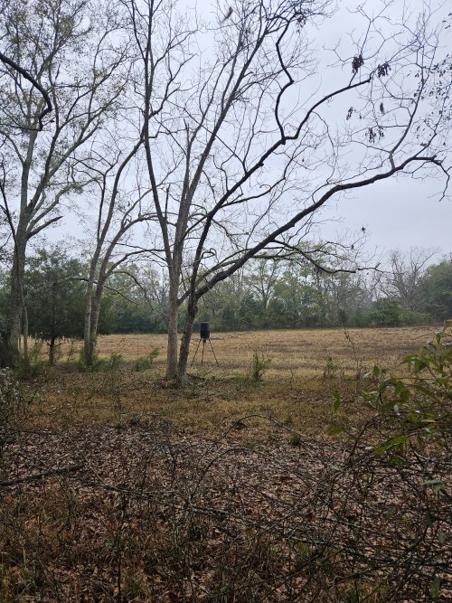 1000001356.jpg 1000001356.jpg