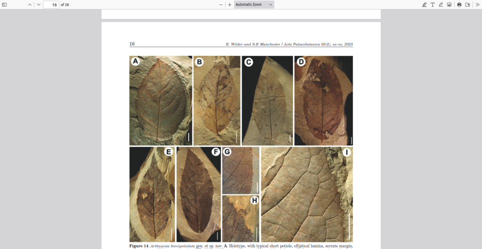 Screenshot 2025-12-18 at 17-01-01 ACPA-00157-2025-02-proof-1-E small-2.pdf.png Screenshot 2025-12-18 at 17-01-01 ACPA-00157-2025-02-proof-1-E small-2.pdf.png