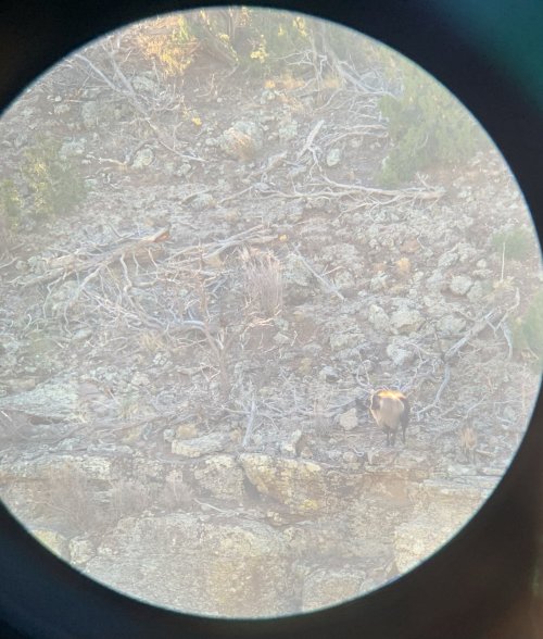 3F30A178-F4E2-458D-B7FE-B3D9891B21D0.jpeg 3F30A178-F4E2-458D-B7FE-B3D9891B21D0.jpeg