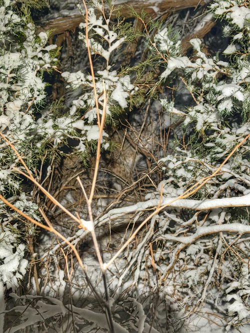 IMG_6036.jpeg IMG_6036.jpeg