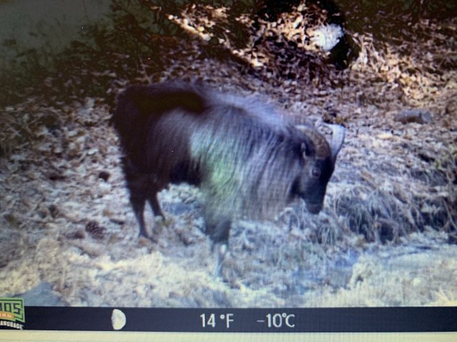 74BC6E3E-344E-4981-A40D-06676123B957.jpeg 74BC6E3E-344E-4981-A40D-06676123B957.jpeg