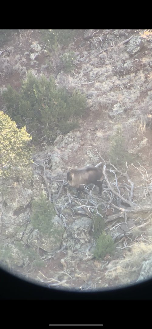 18BF1D75-4B65-4C30-A553-1AC65F91D497.jpeg 18BF1D75-4B65-4C30-A553-1AC65F91D497.jpeg