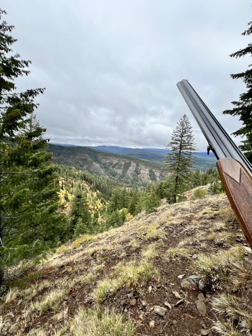 BGC IMG_1581 - Copy.jpg