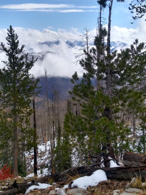IMG_20251014_135024859_HDR.jpg