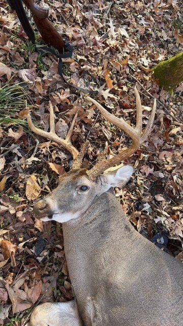 2025 Buck 3.jpg
