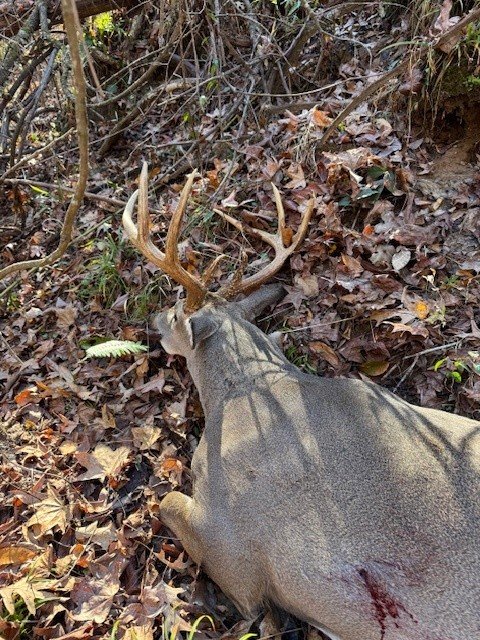2025 Buck 4.jpg