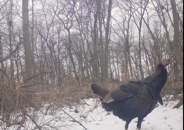 Screenshot 2025-12-22 at 11.21.39 AM.jpeg