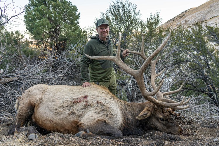 NV-Elk Marcus Hockett-17.jpg