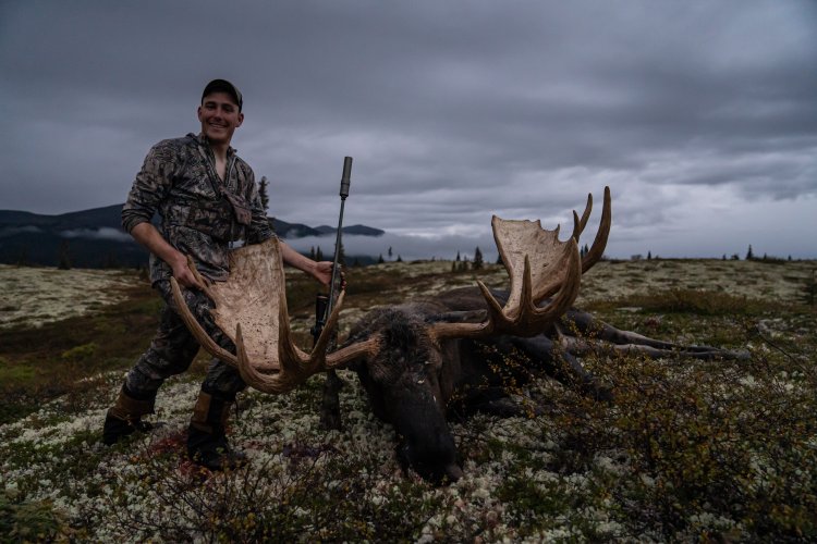 AK Moose 2023-14.jpg