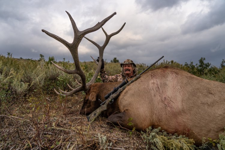 M.Parente -09646.jpg