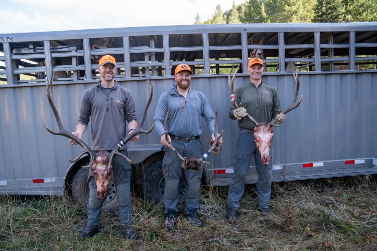 Wyoming_Elk_Jace-149.jpg
