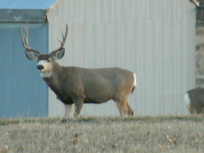 GEDC0009.JPG