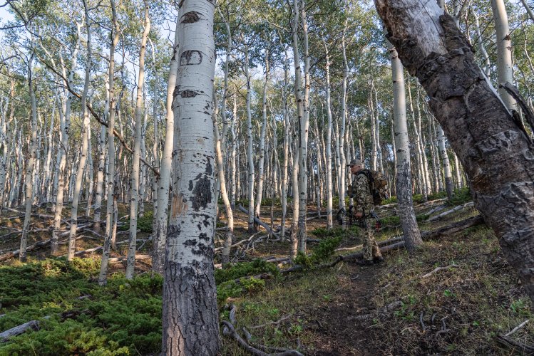 Marcus Hockett Elk-25.jpg Marcus Hockett Elk-25.jpg