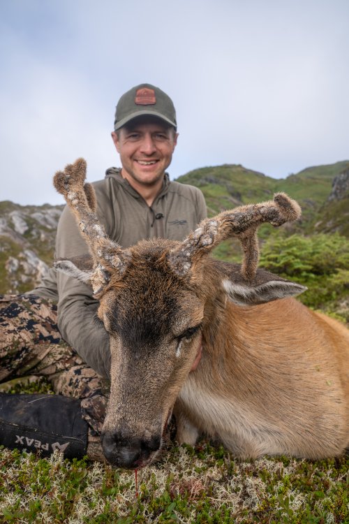 MH-Deer-16.jpg MH-Deer-16.jpg