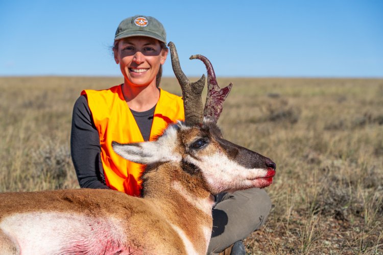 DSC08405.jpg DSC08405.jpg