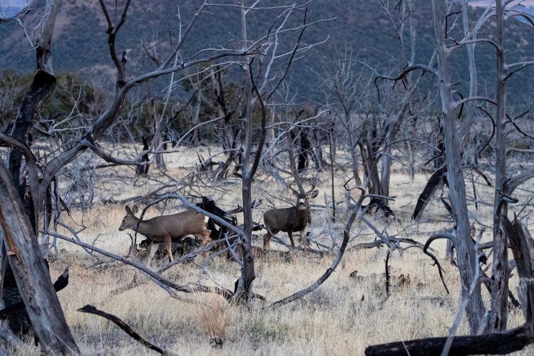 DSC02400.jpg DSC02400.jpg