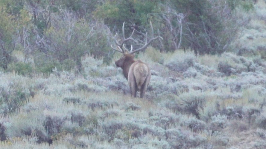 C9495.00_04_21_03.Still003.jpeg C9495.00_04_21_03.Still003.jpeg