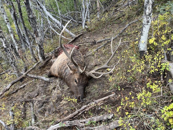 IMG_5781.jpeg IMG_5781.jpeg