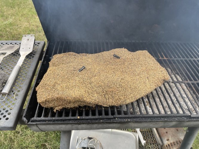 IMG_7944.jpeg