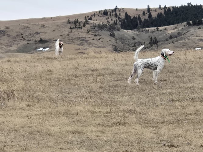 20251221_092312.jpg